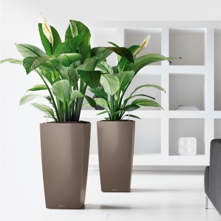 Maceta CUBICO_NAVIDAD