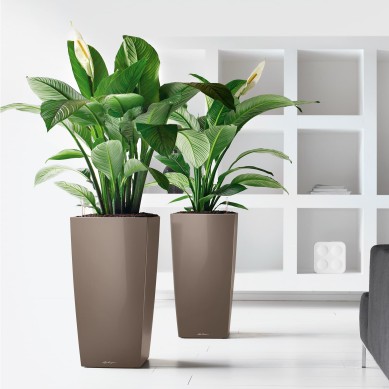 Maceta CUBICO_NAVIDAD