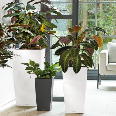 Maceta CUBICO_NAVIDAD