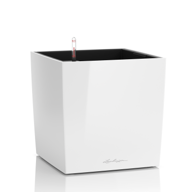 Maceta CUBE