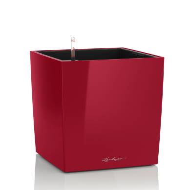 Maceta CUBE