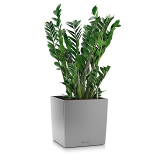 Maceta CUBE