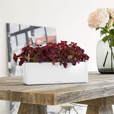 Jardinera CUBE Glossy