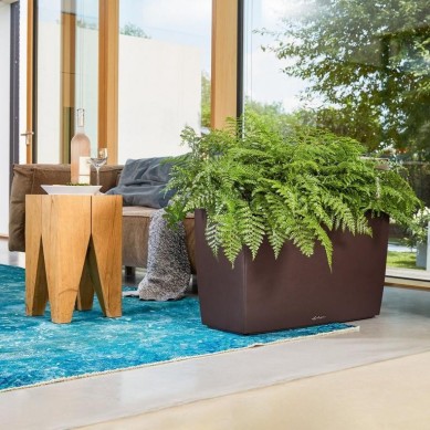 Jardinera CARARO