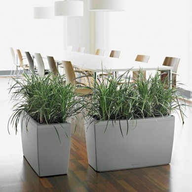 Jardinera CARARO