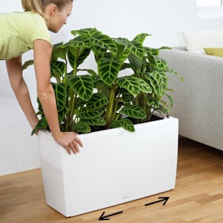 Jardinera CARARO