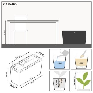 Jardinera CARARO