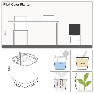 Maceta PILA Color
