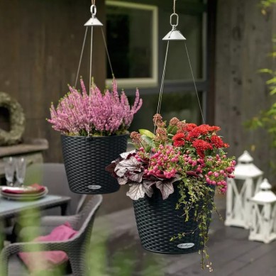 Maceta NIDO Cottage
