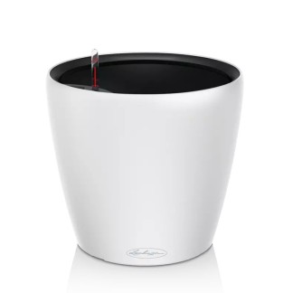 Maceta CLASSICO Color LS