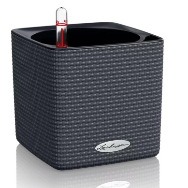 Maceta CUBE Color