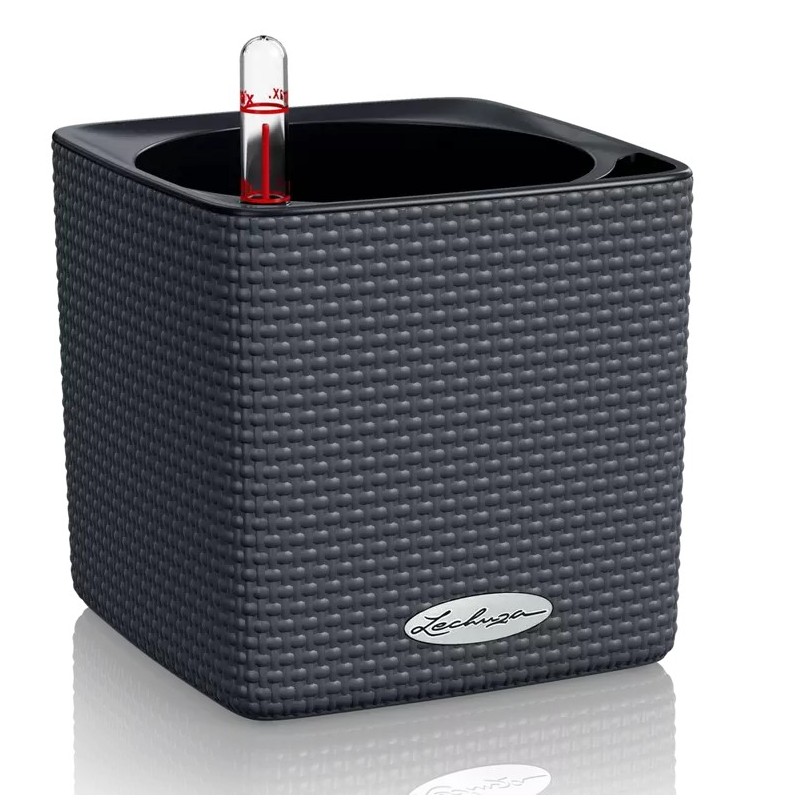 Maceta CUBE Color