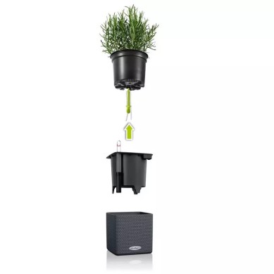 Maceta CUBE Color