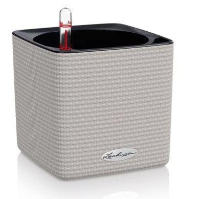 Maceta CUBE Color