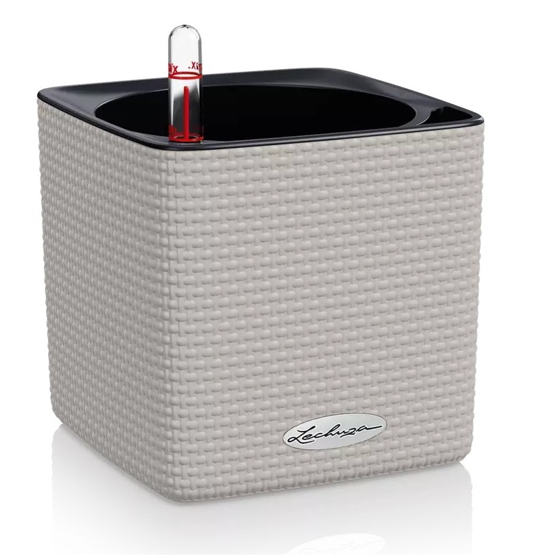 Maceta CUBE Color