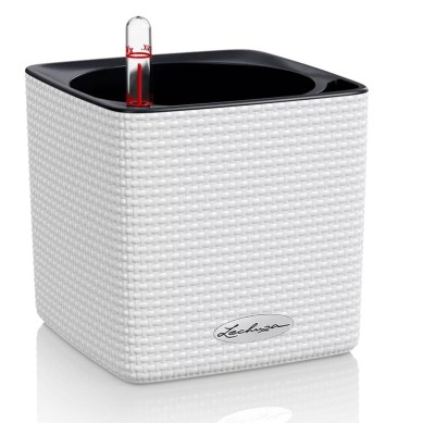Maceta CUBE Color
