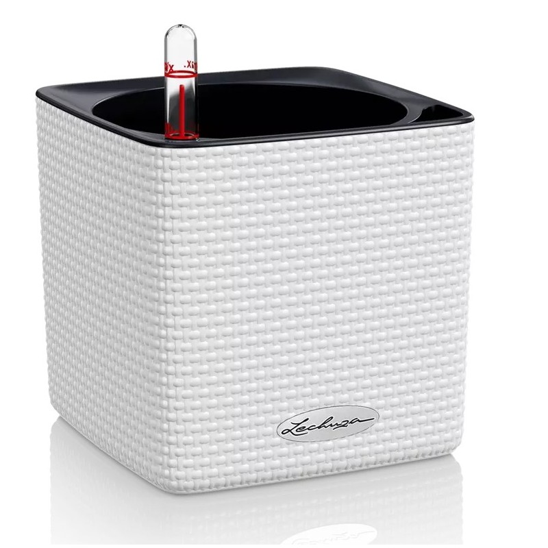 Maceta CUBE Color