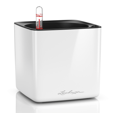 Maceta CUBE Glossy