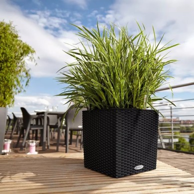 Maceta CUBE Cottage