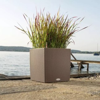 Maceta CUBE Cottage