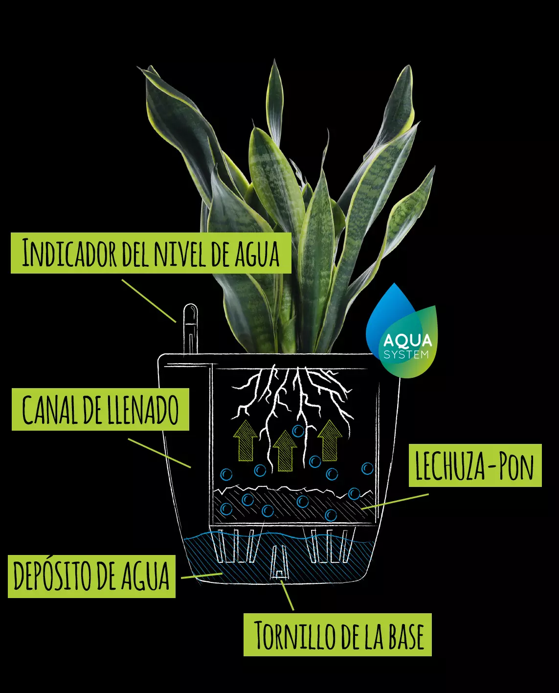 Dibujo con explicación del clásico sistema de irrigación
