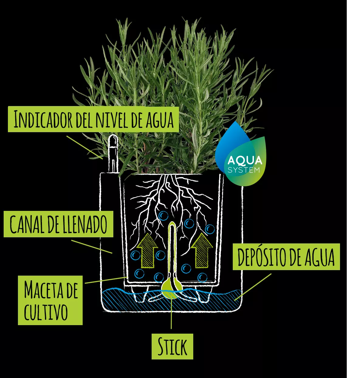 Dibujo con explicación del sistema de stick