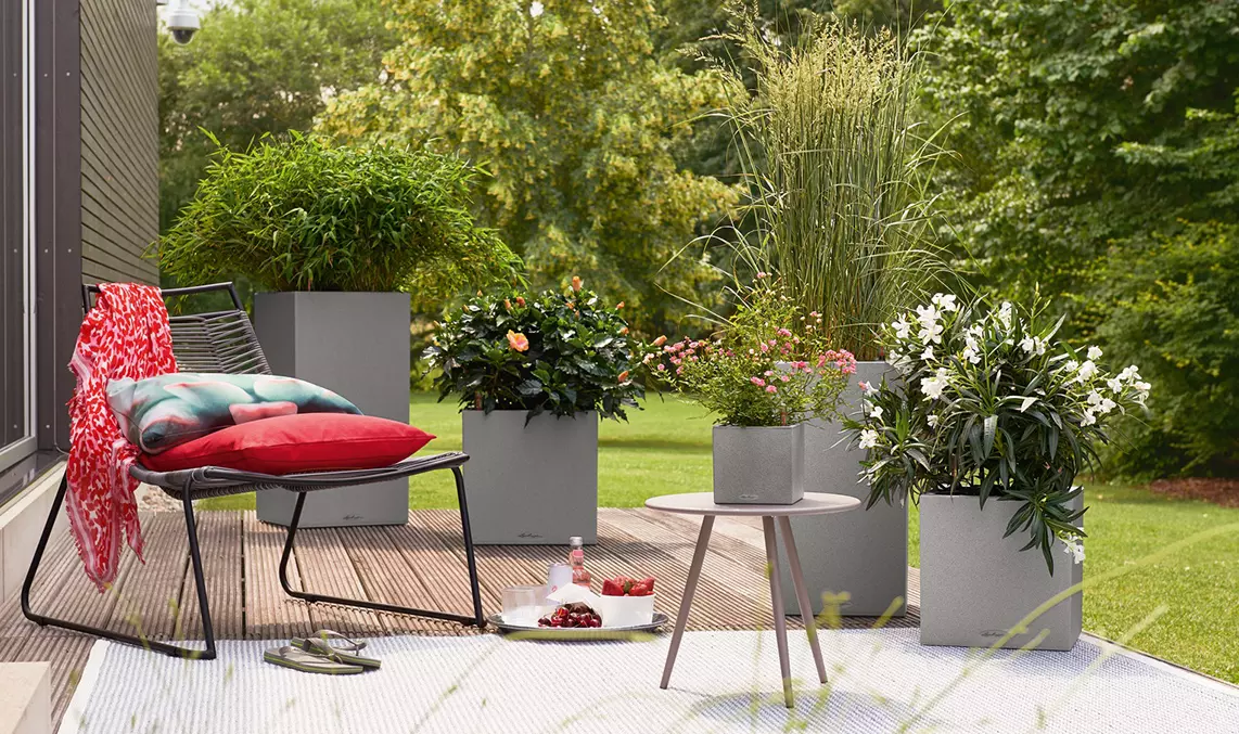 Varias jardineras de la Colección de Piedras de LECHUZA están plantadas en una terraza