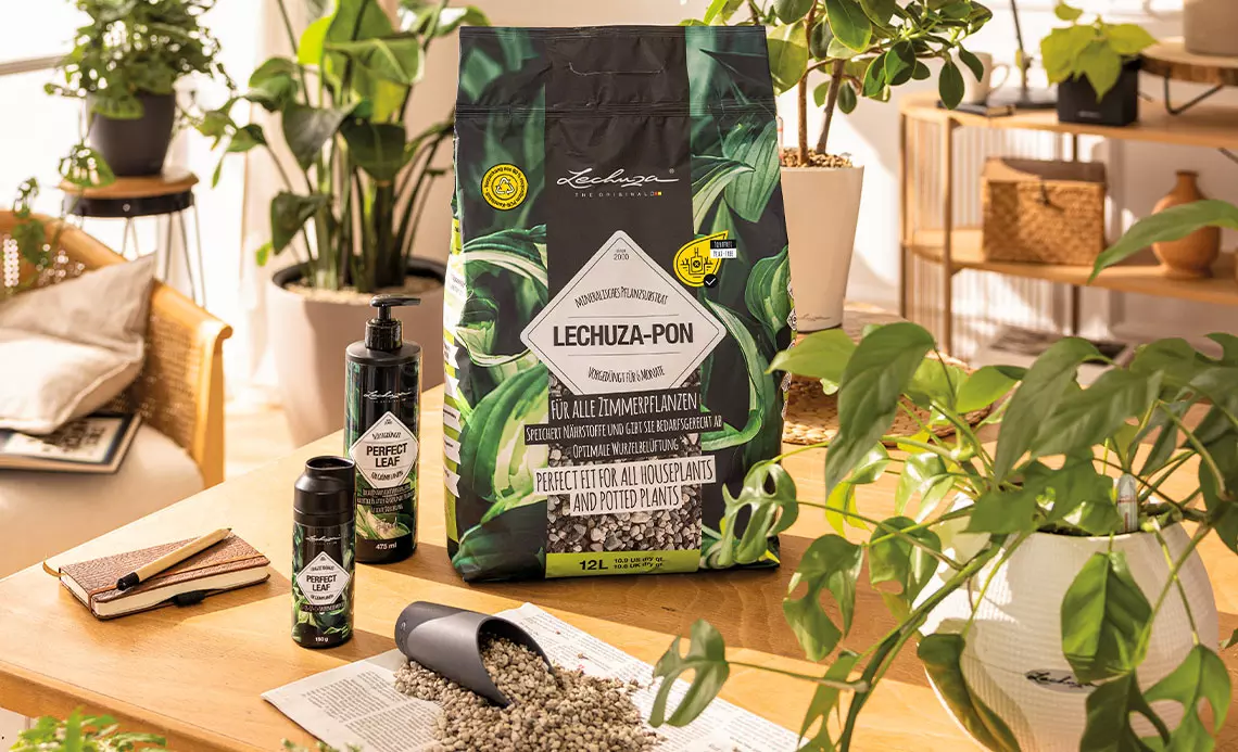 Cómo plantar las plantas con los sustratos de LECHUZA