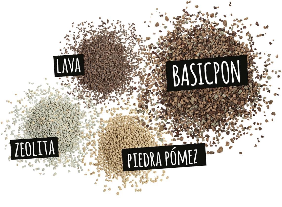 'Components of BASICPON: BASICPON