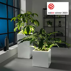 Un diseño premiado