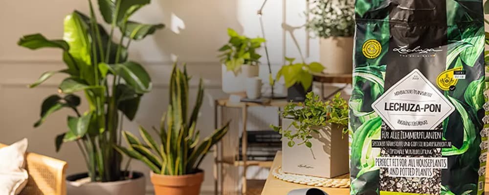 Sustrato para plantas de...