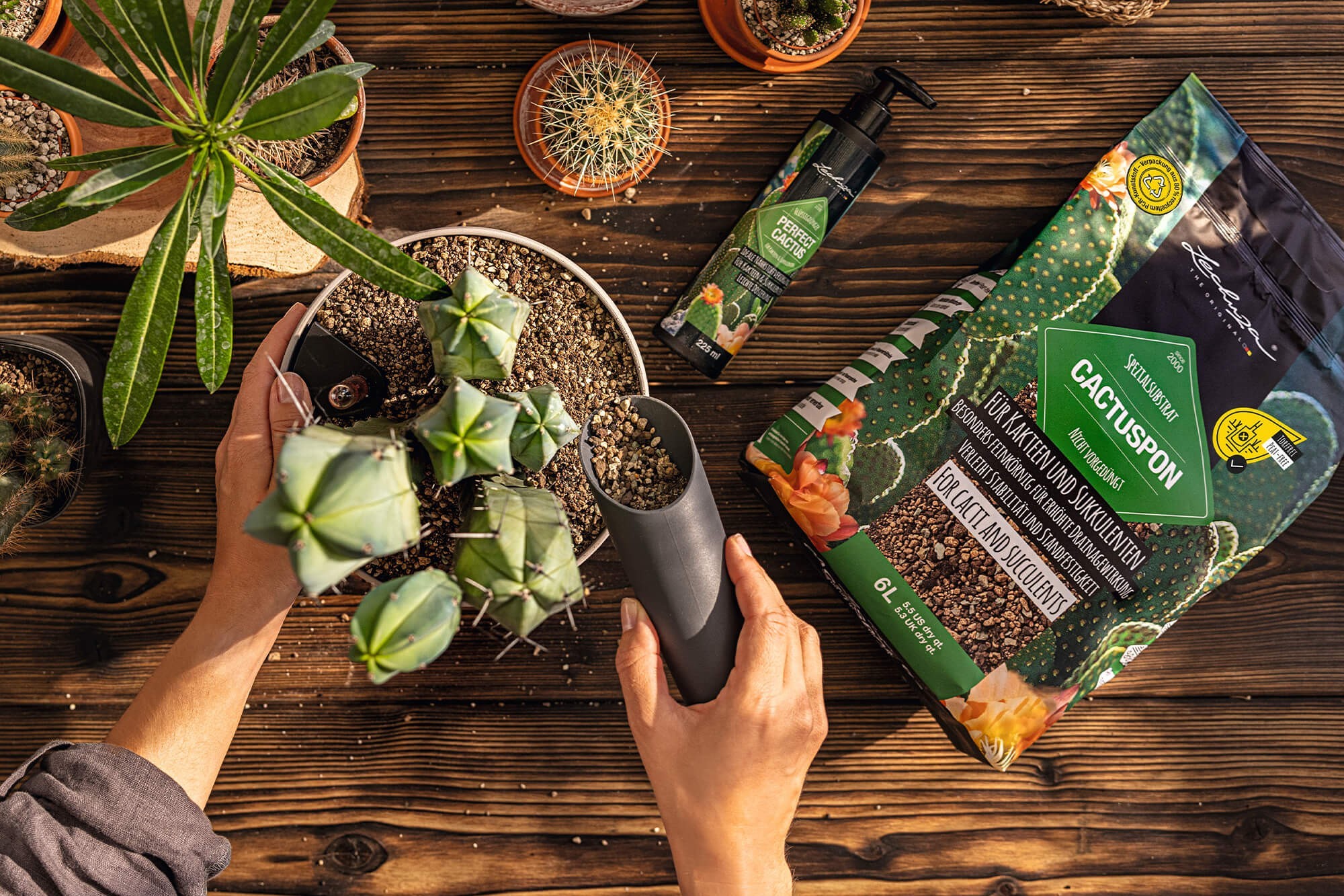 Sustratos de plantas